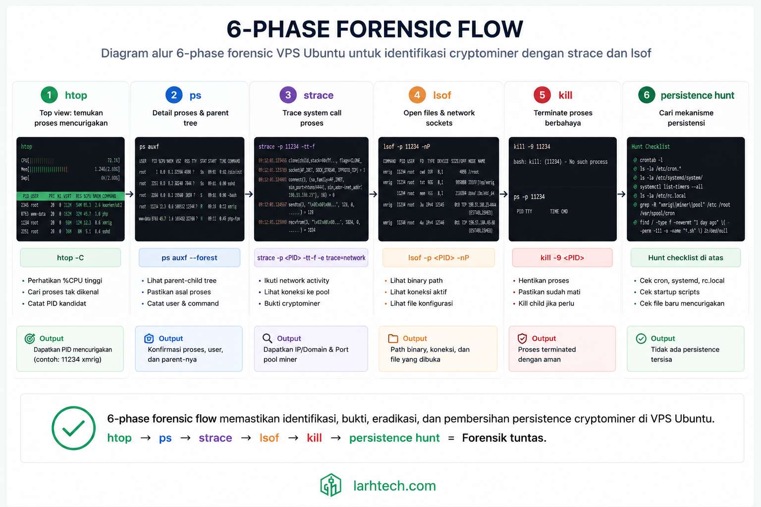 Diagram 6-phase forensic flow