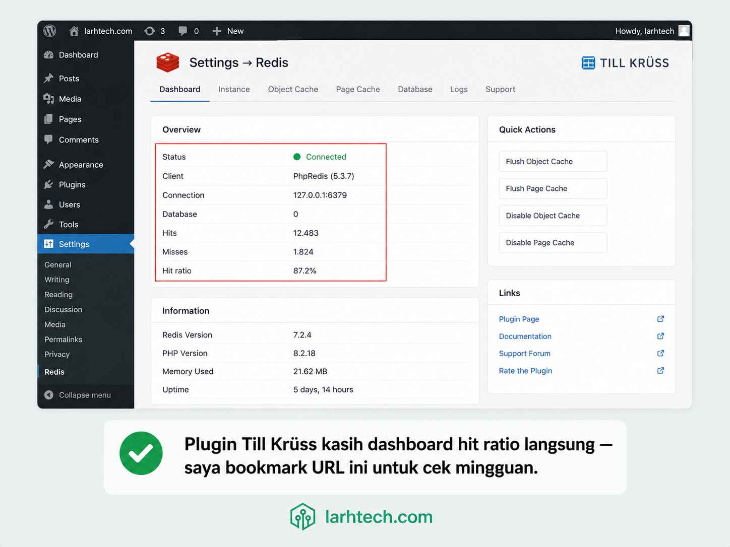 Redis Object Cache by Till Krüss