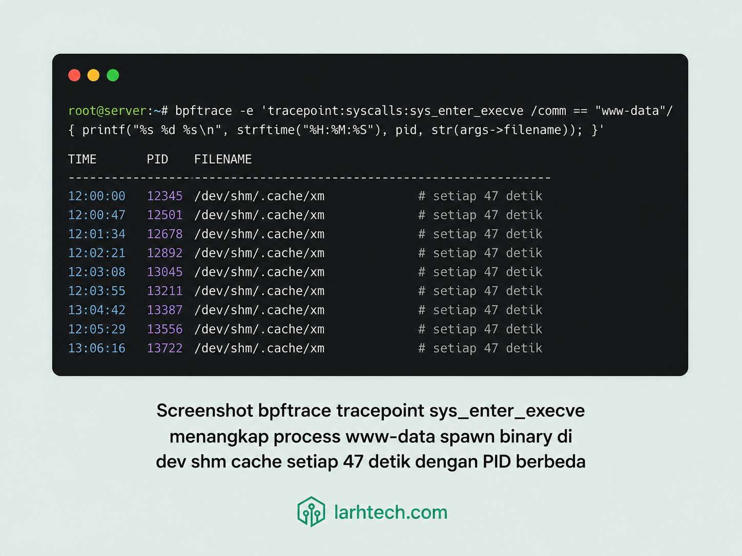 Screenshot bpftrace output catching execve event www-data spawn