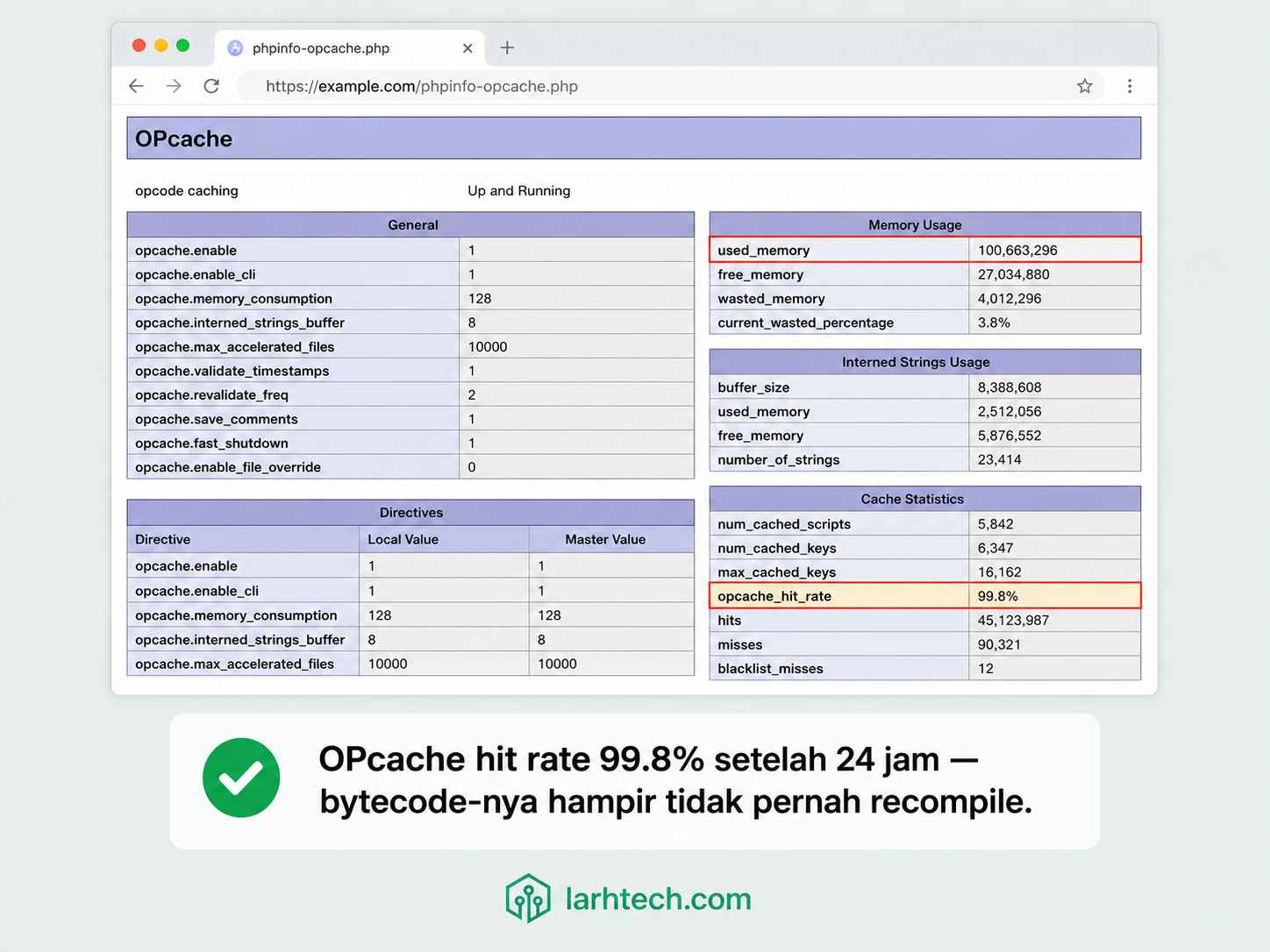 Screenshot output opcache_get_status() dari file phpinfo-opcache