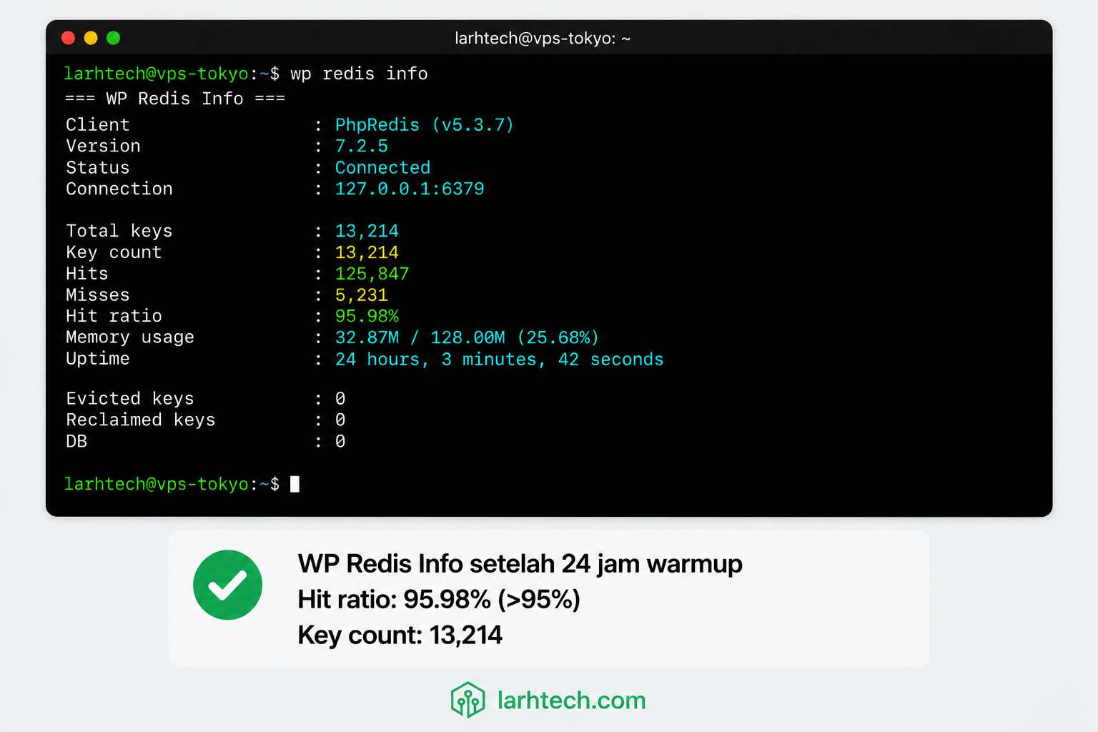 Screenshot output wp redis info setelah 24 jam warmup
