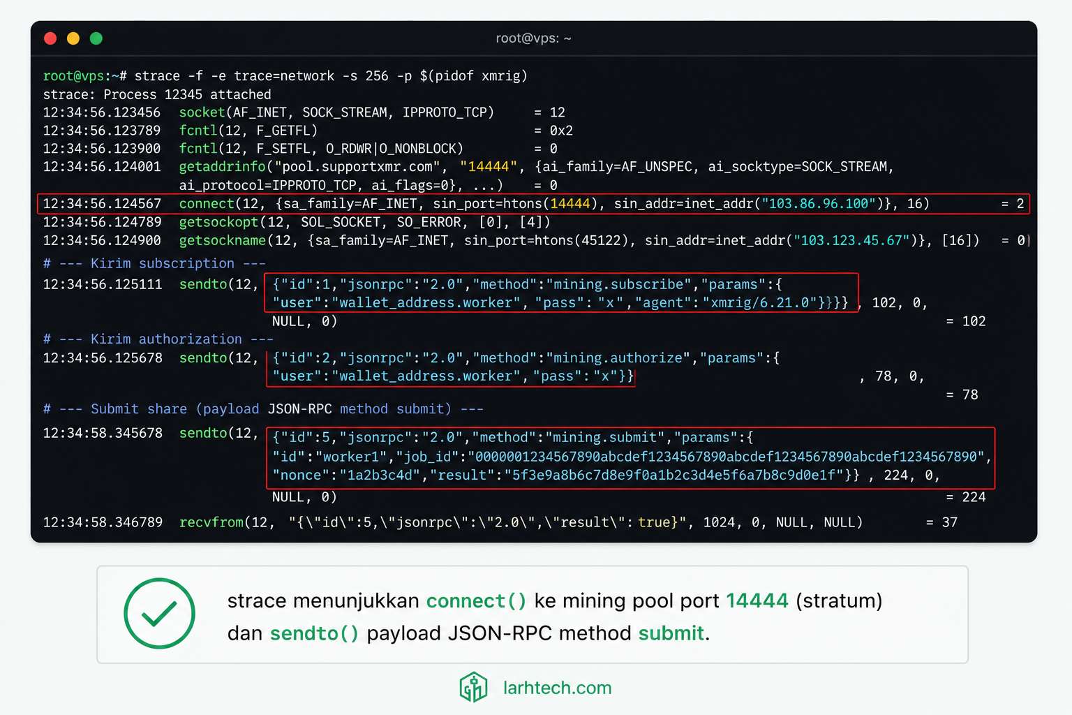Screenshot terminal output strace yang menunjukkan baris connect()